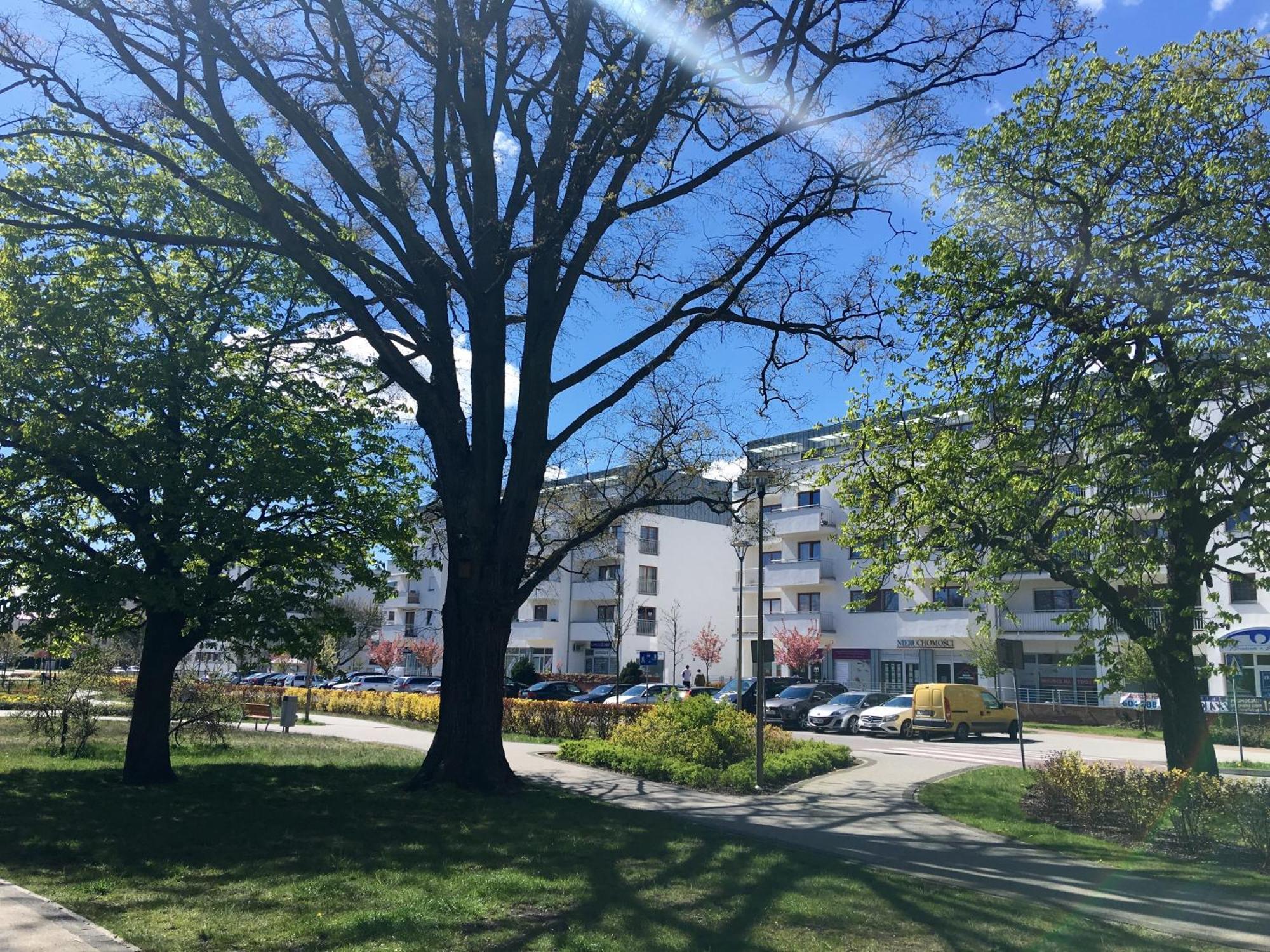 Apartamenty Platan - Visitopl Swinemünde Exterior foto